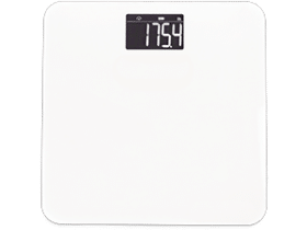 Digital Scale