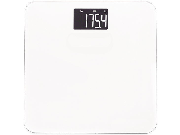 Digital Scale